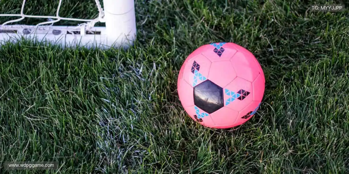 👟品质护航,你的运动生活新伙伴!✨